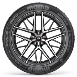 225/55 R18 102v Xl North Pole W-20 Kış Lastiği 2025