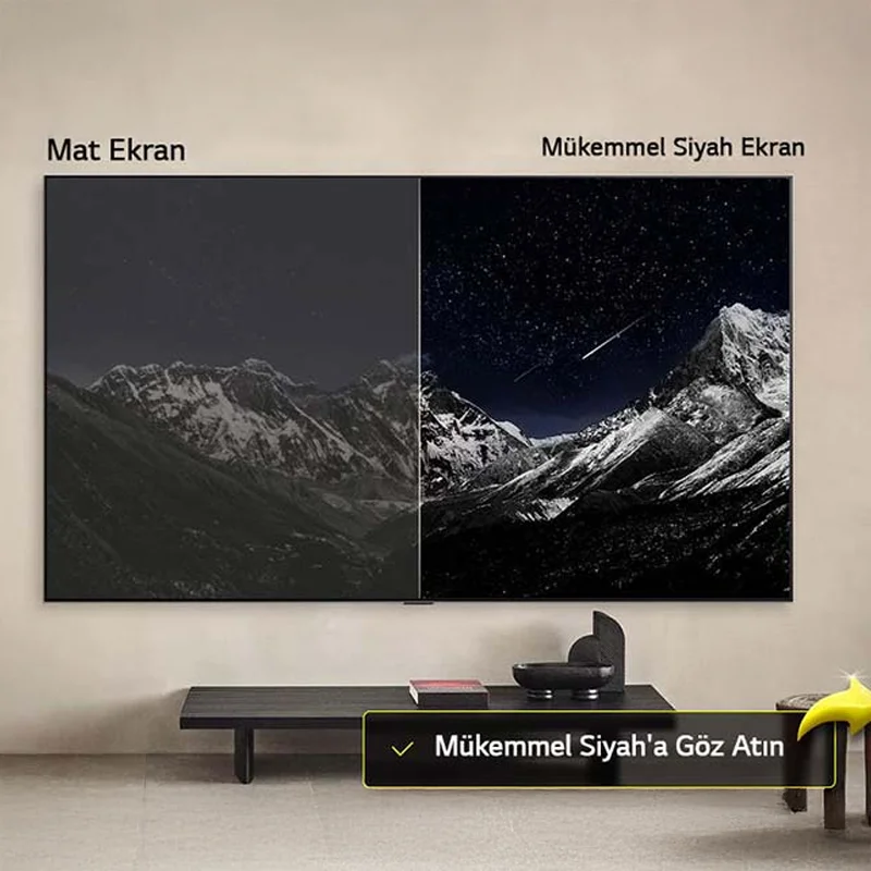 LG OLED TV Model